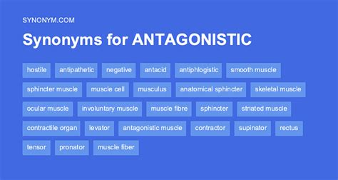 antonym of antagonistic|another word for antagonistically.